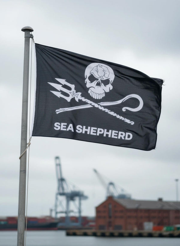 Bandiera Sea Shepherd Jolly Roger | Nera