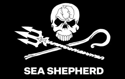 Adesivo Jolly Roger | Bianco